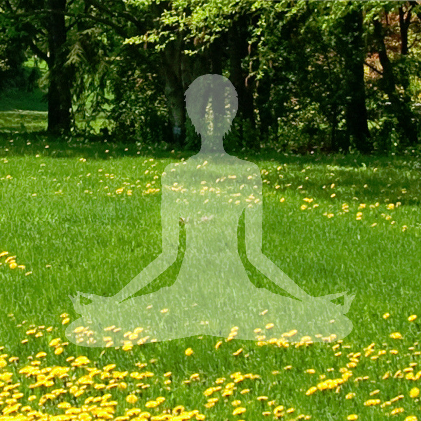 Yoga Meditation