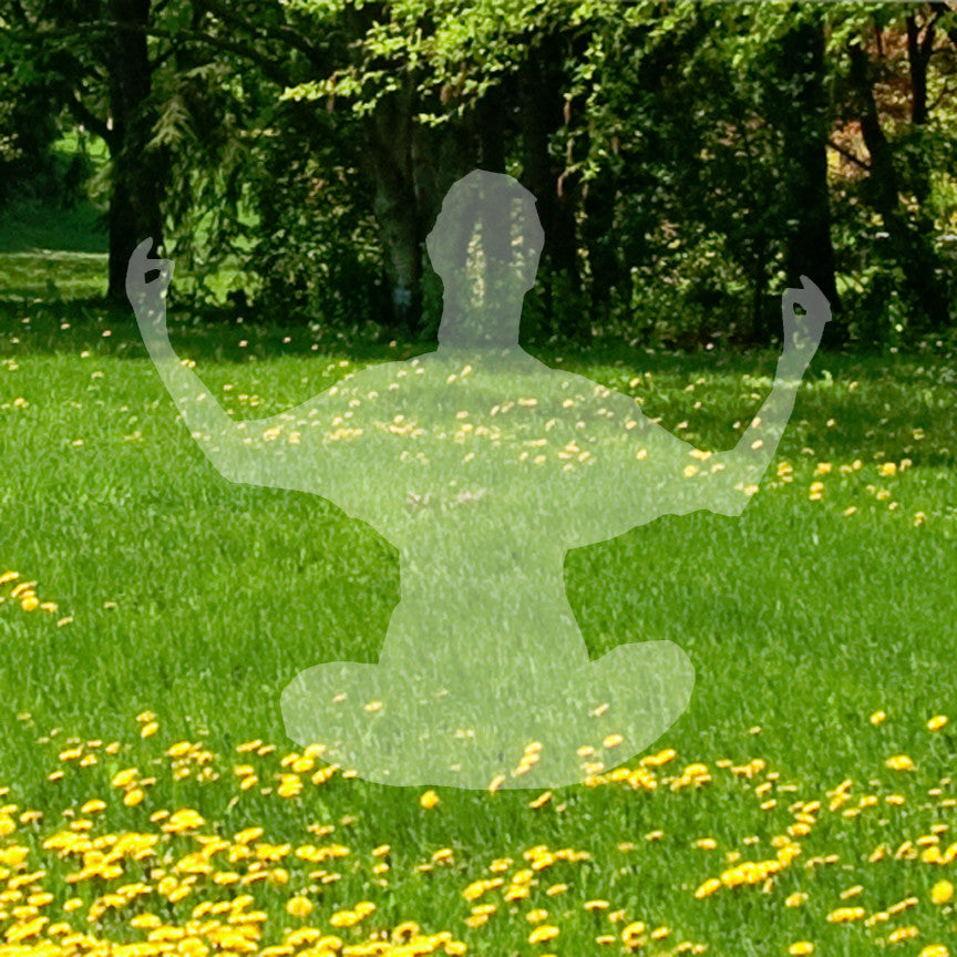 Meditation Yoga