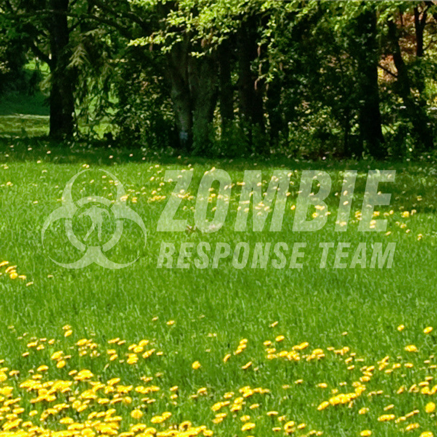 Zombie Response Team