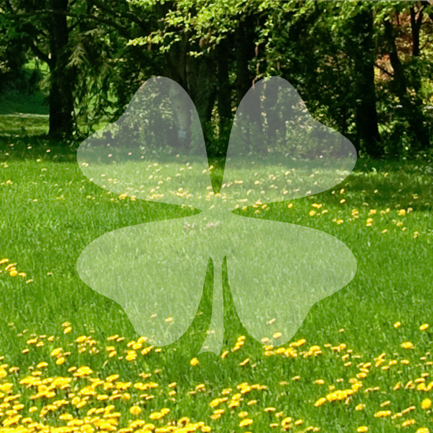 Four Leaf Clover Shamrock