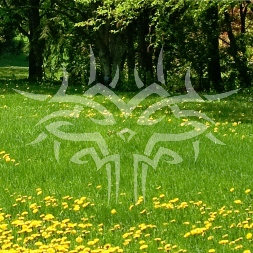 Tribal Face Art Design