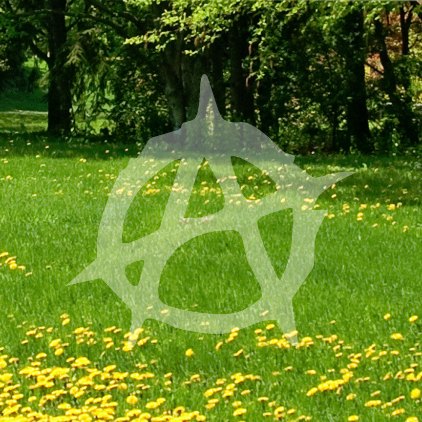Anarchy Symbol