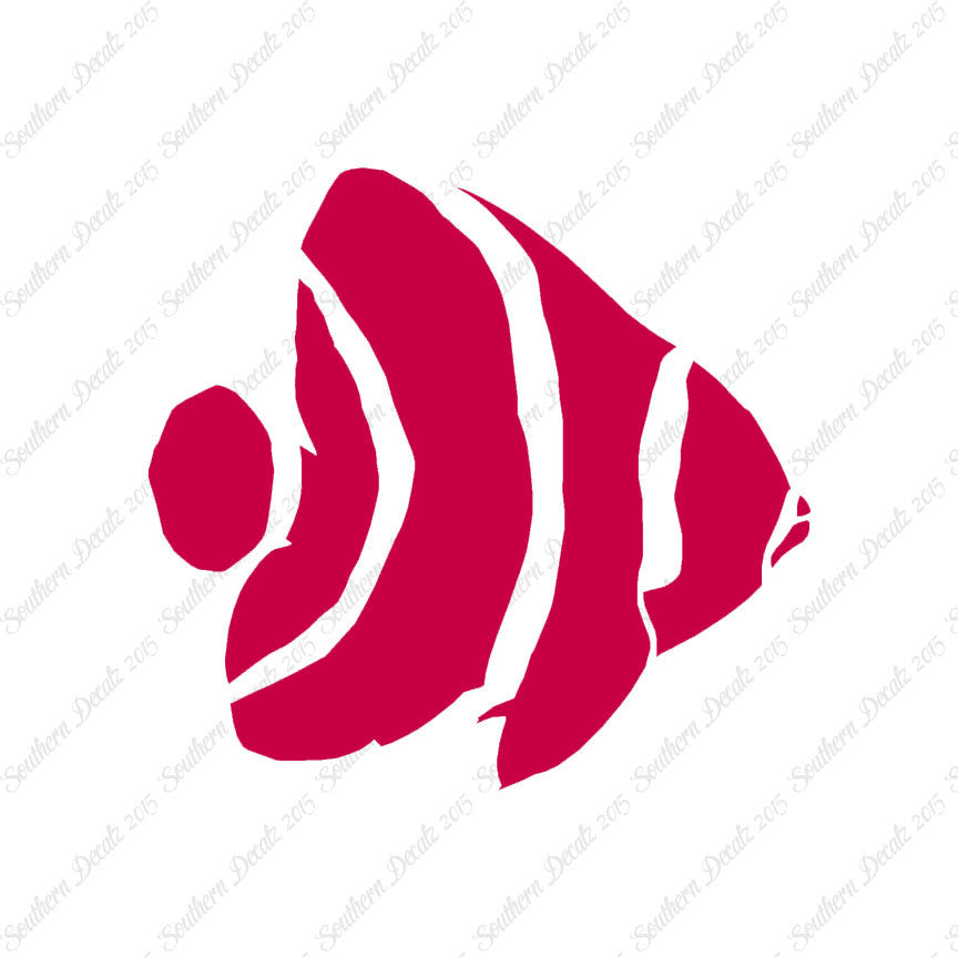 Angel Fish Clownfish