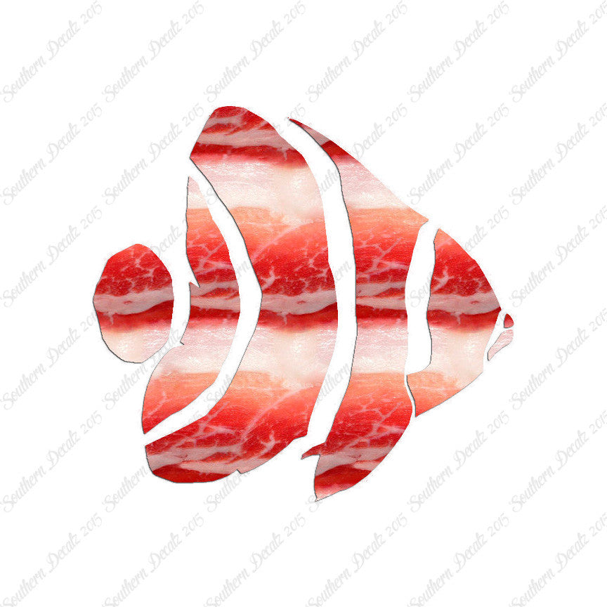 Angel Fish Clownfish