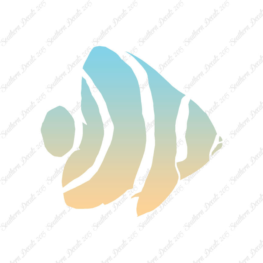 Angel Fish Clownfish