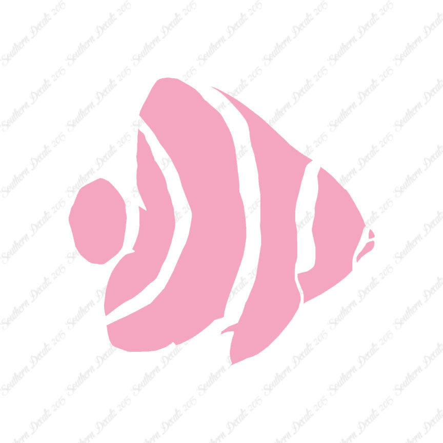 Angel Fish Clownfish