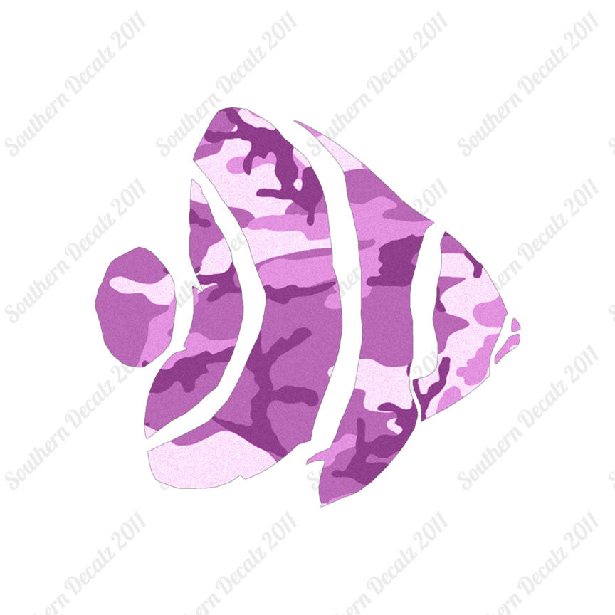 Angel Fish Clownfish