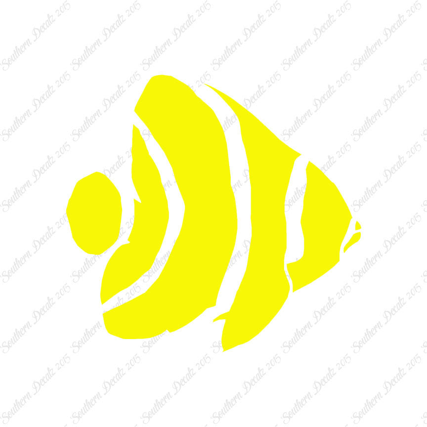 Angel Fish Clownfish