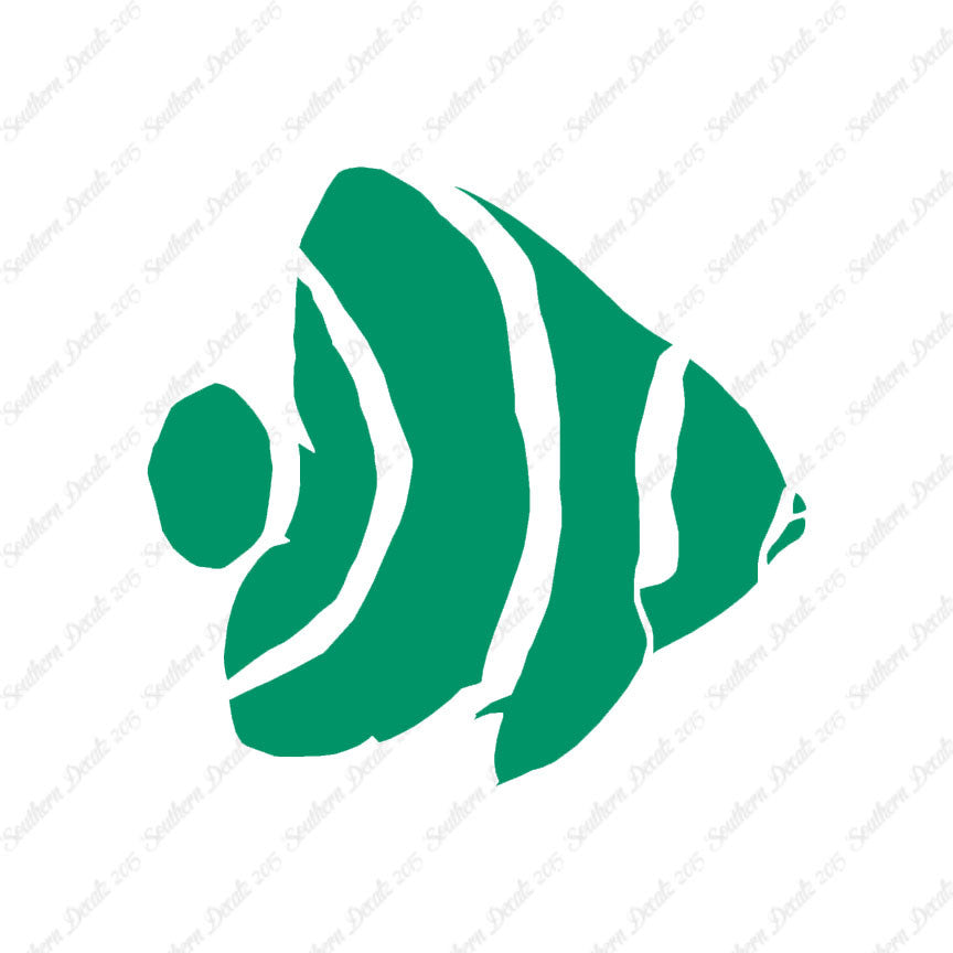 Angel Fish Clownfish