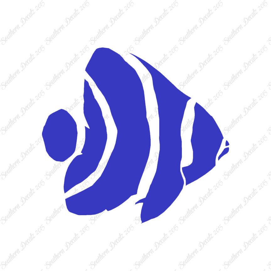 Angel Fish Clownfish