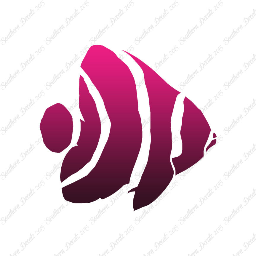 Angel Fish Clownfish