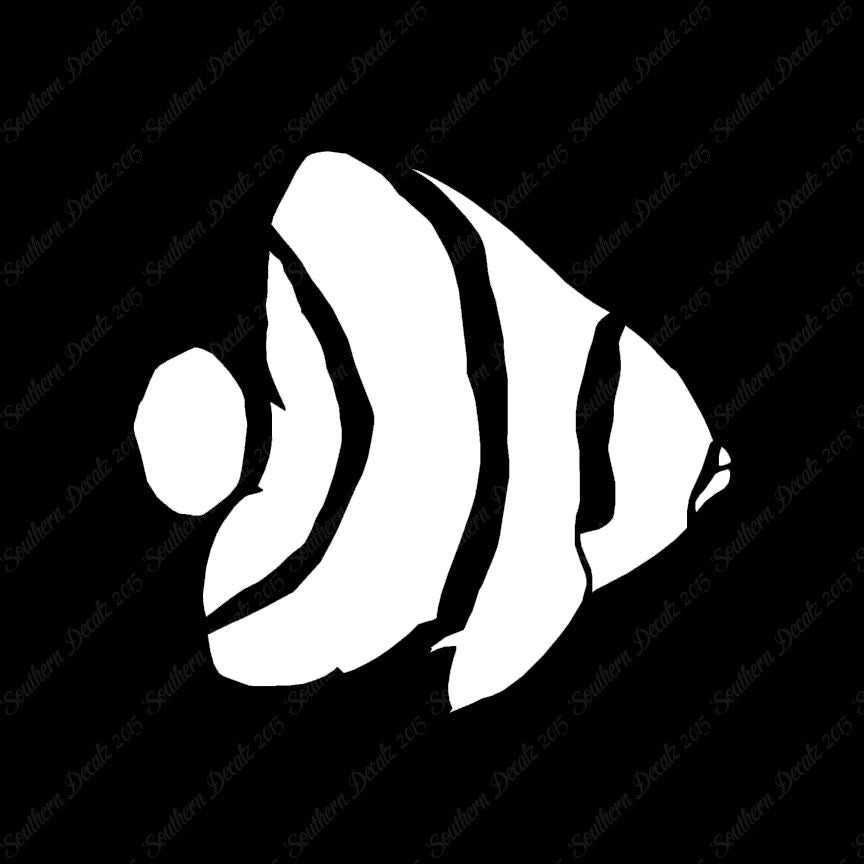 Angel Fish Clownfish