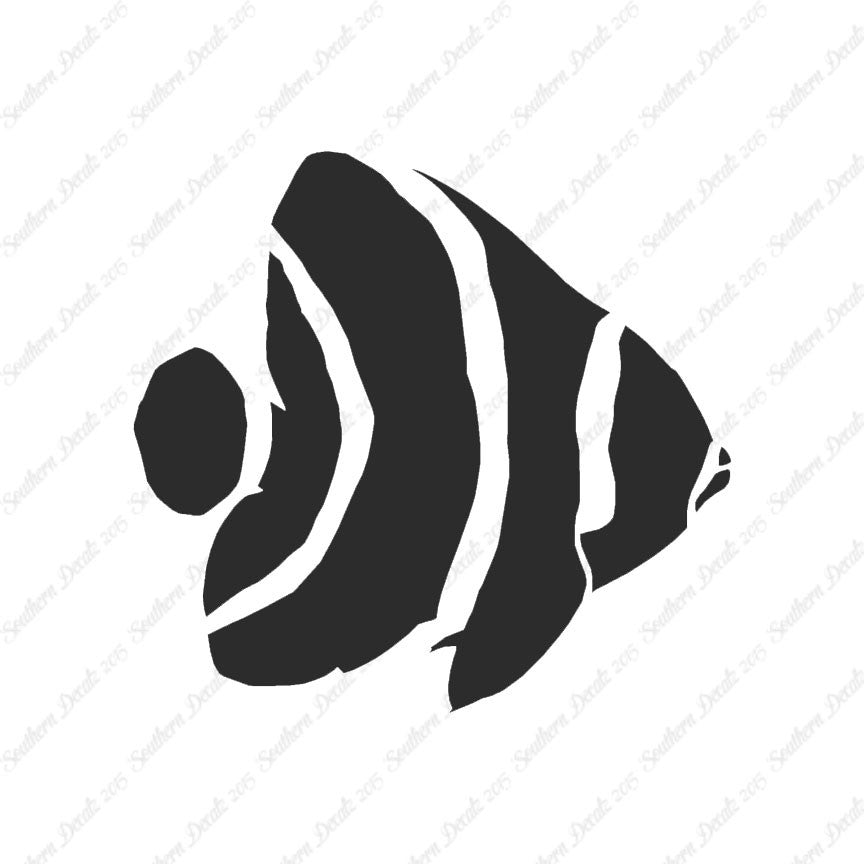 Angel Fish Clownfish