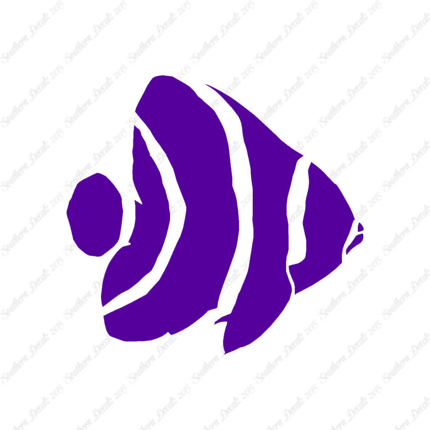 Angel Fish Clownfish