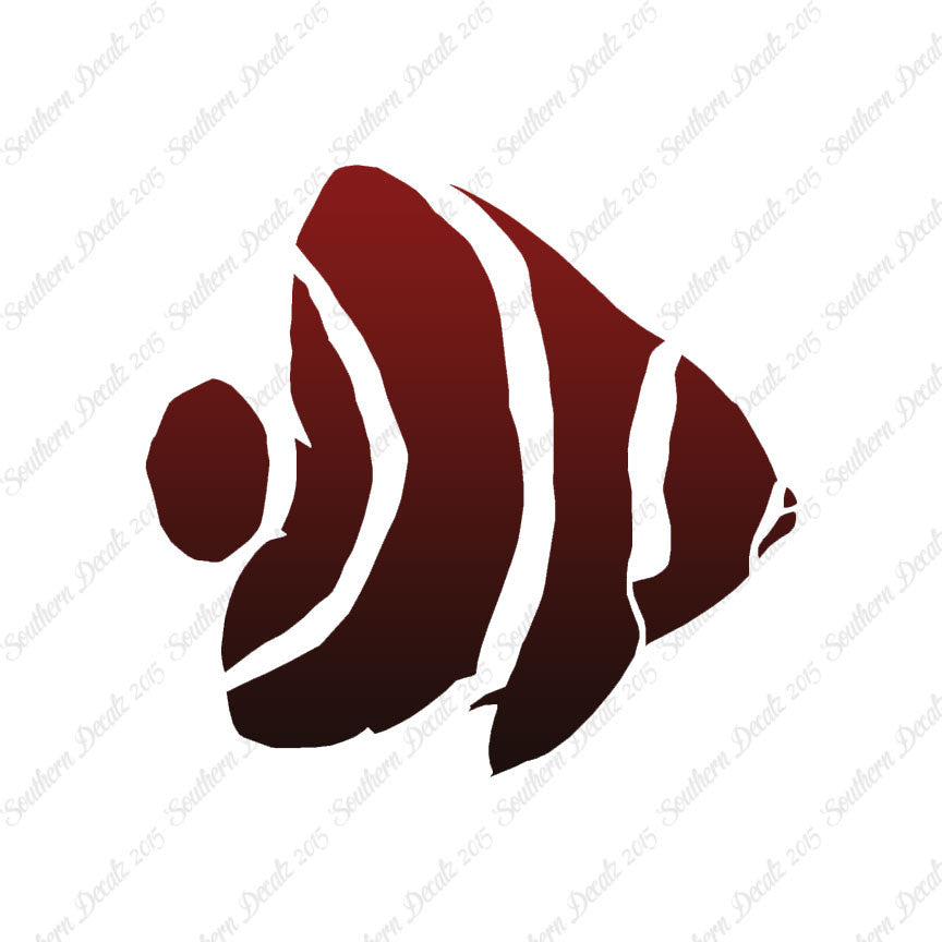 Angel Fish Clownfish