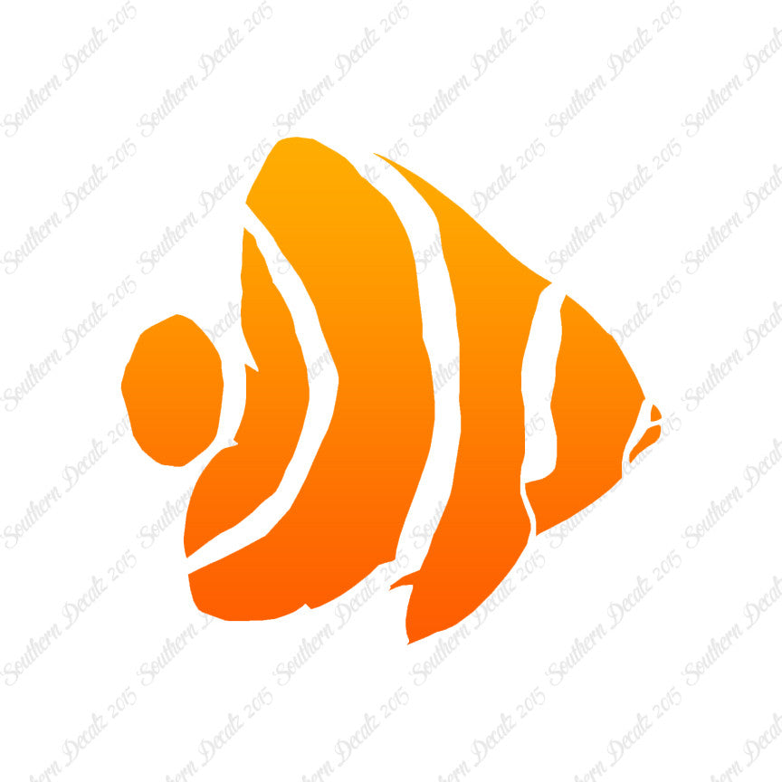 Angel Fish Clownfish