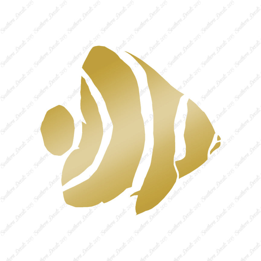 Angel Fish Clownfish