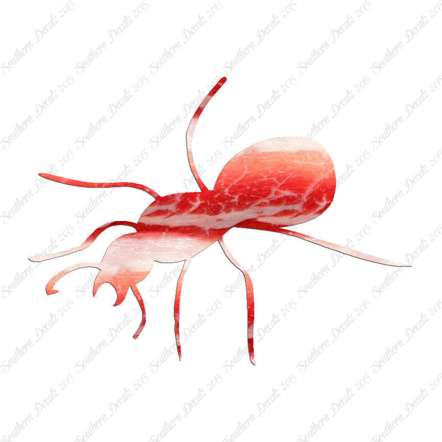 Ant Insect Pest