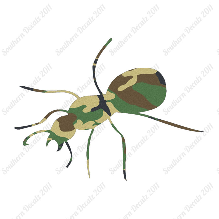 Ant Insect Pest