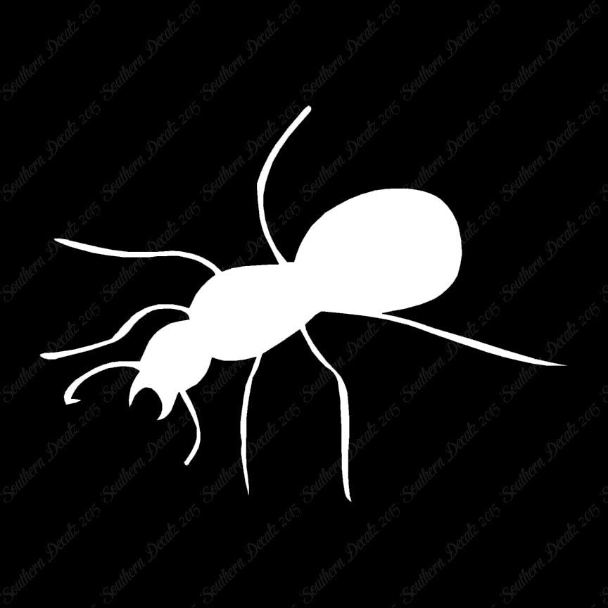 Ant Insect Pest