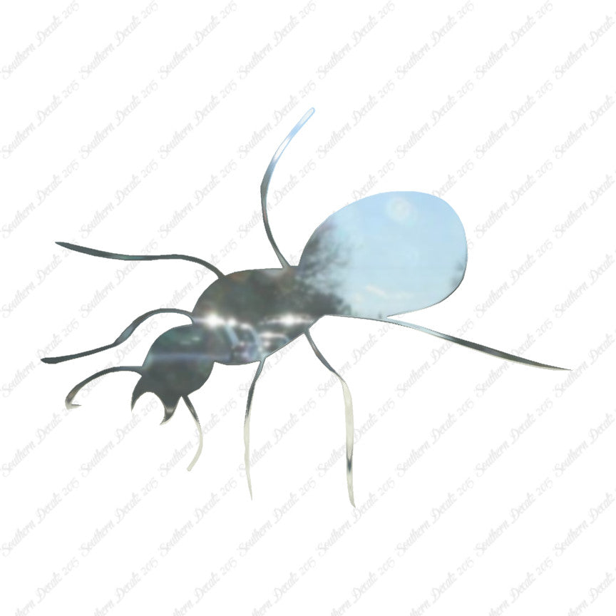 Ant Insect Pest