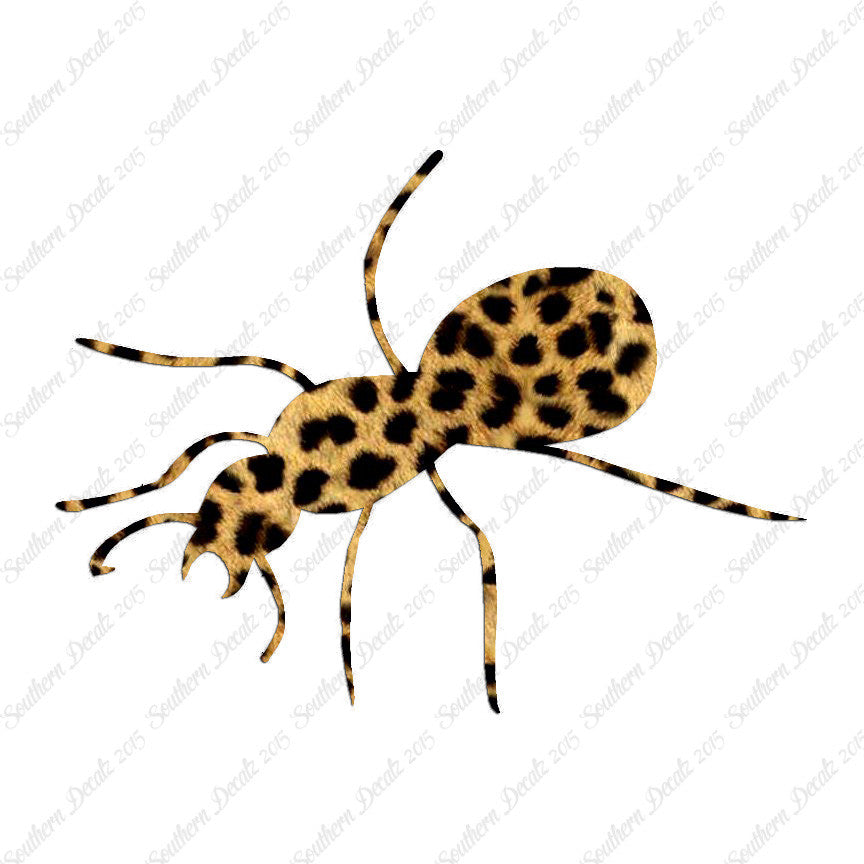 Ant Insect Pest