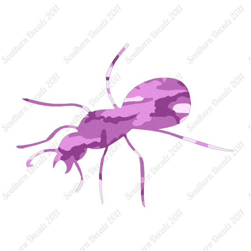 Ant Insect Pest