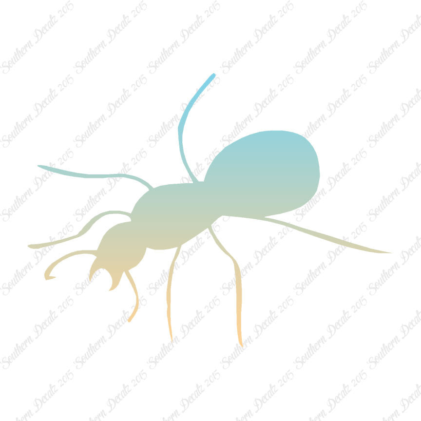 Ant Insect Pest