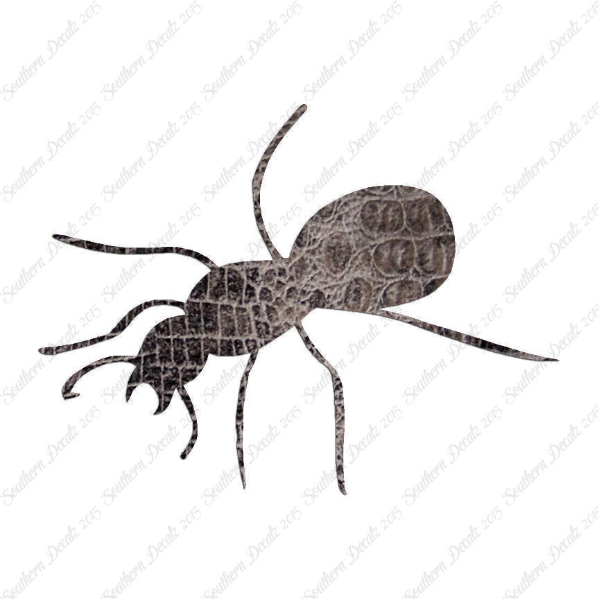 Ant Insect Pest