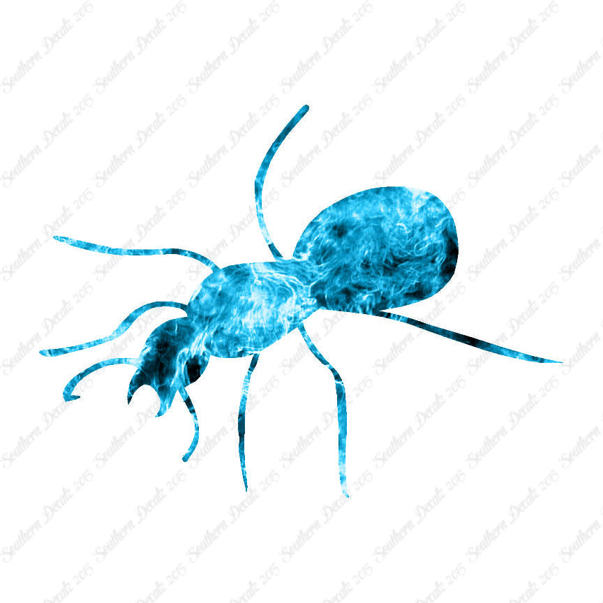 Ant Insect Pest