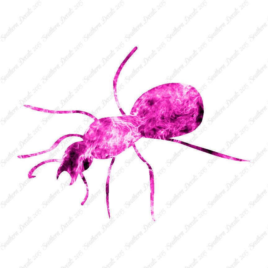 Ant Insect Pest