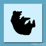 Bear Playing Cub