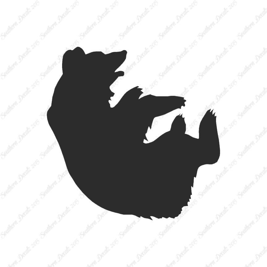 Bear Playing Cub
