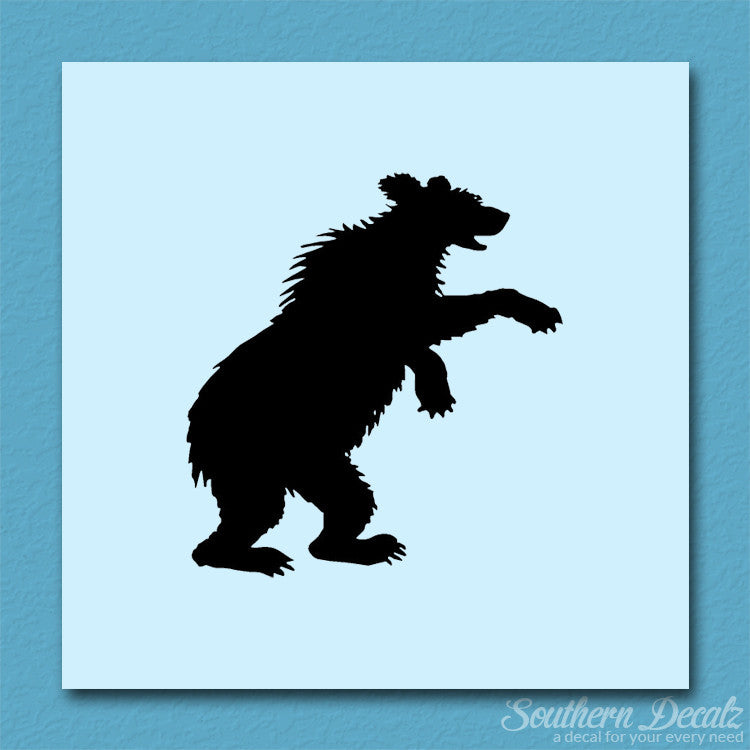 Bear Cub Playing
