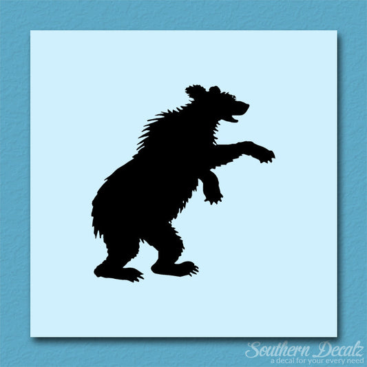 Bear Cub Playing