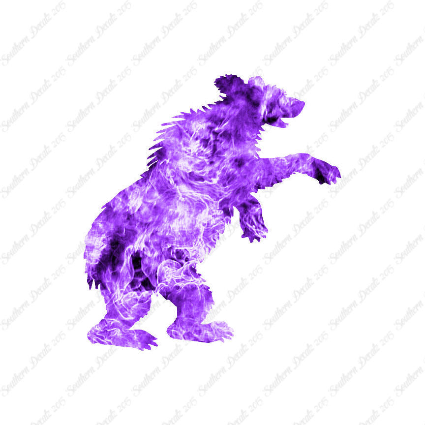 Bear Cub Playing