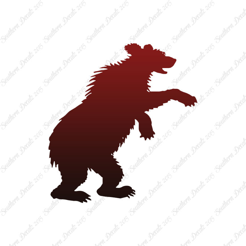 Bear Cub Playing