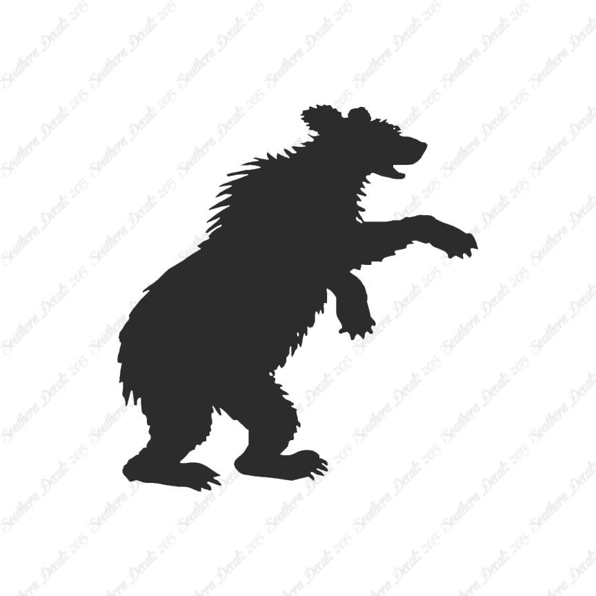 Bear Cub Playing