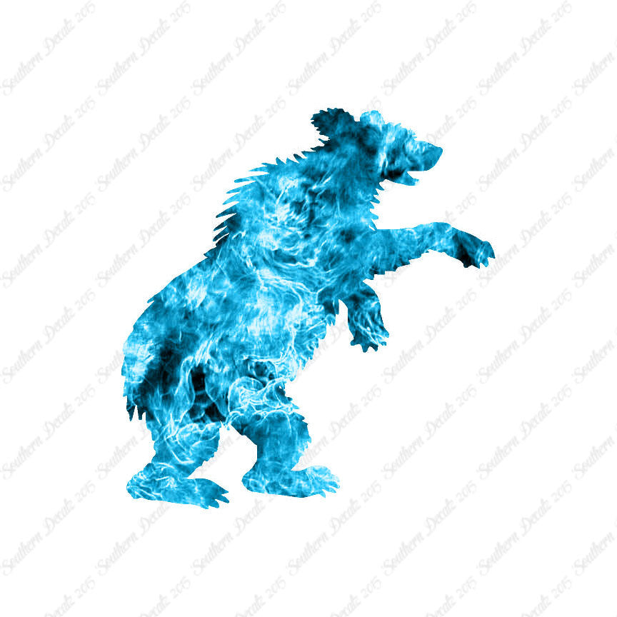 Bear Cub Playing