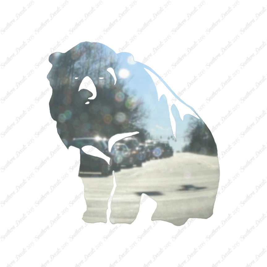 Bear Kodiak Grizzly