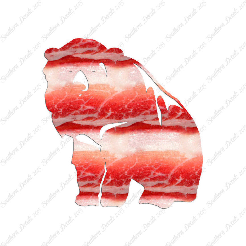Bear Kodiak Grizzly
