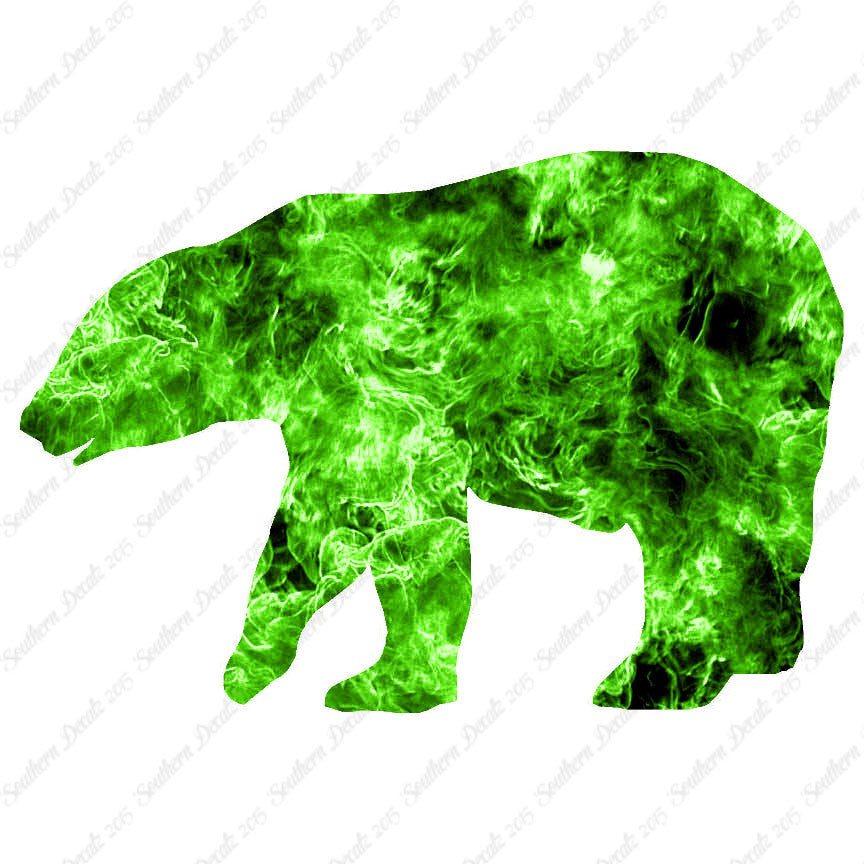 Bear Grizzly Polar