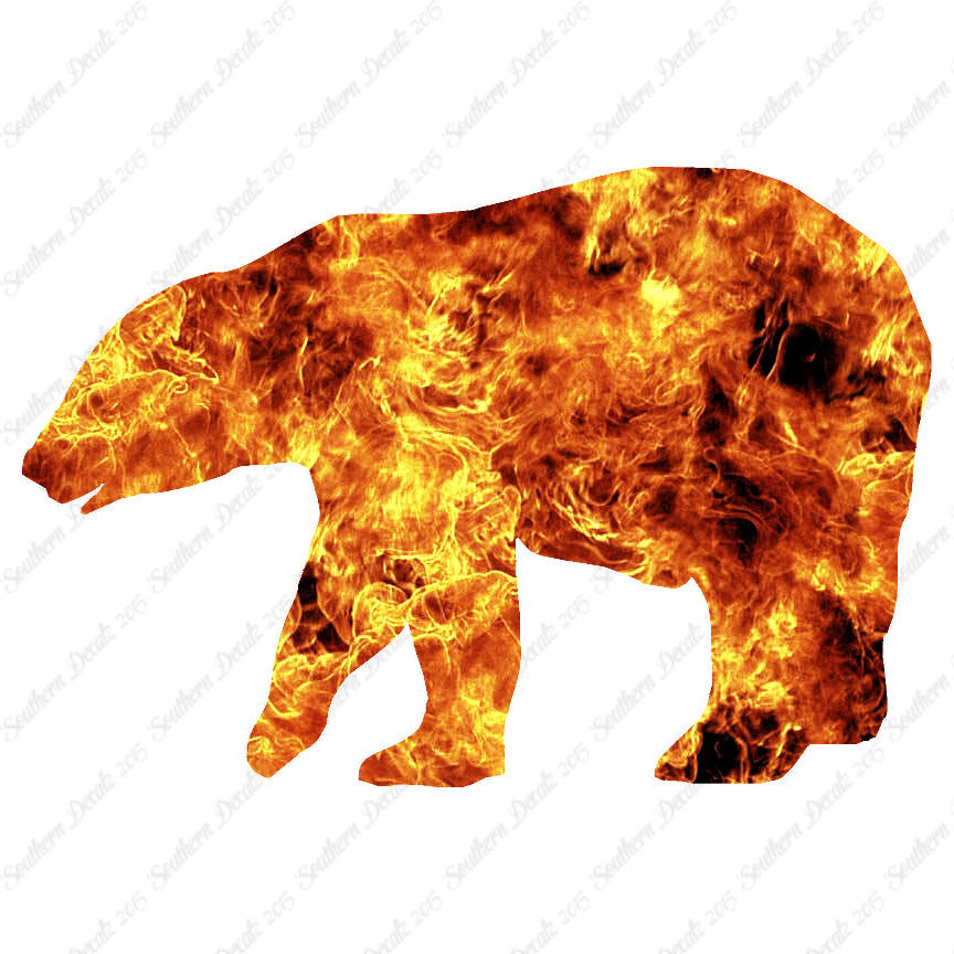 Bear Grizzly Polar