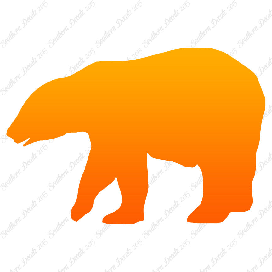 Bear Grizzly Polar