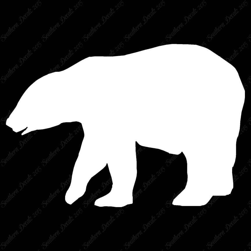 Bear Grizzly Polar