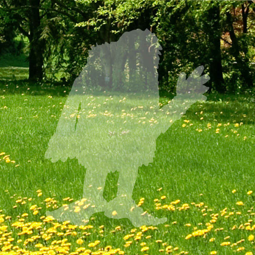 Big Foot Sasquatch