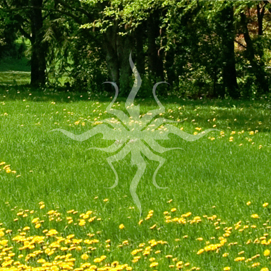 Tribal Art Sun Design