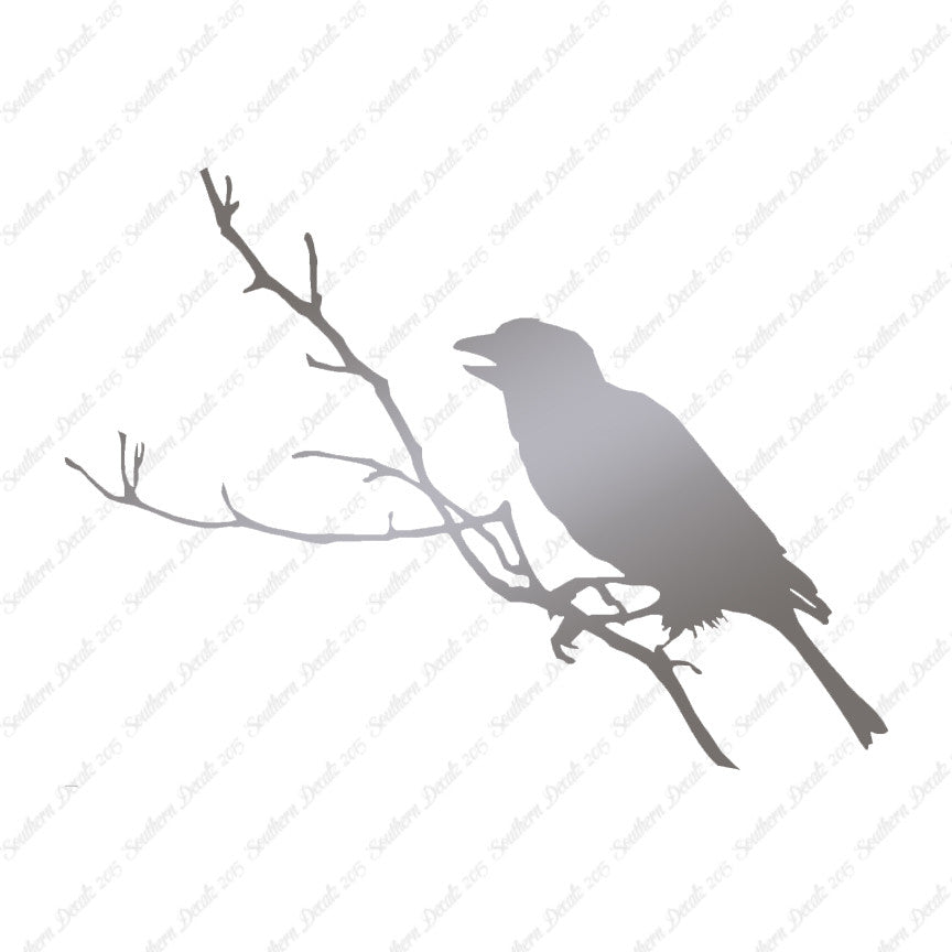 Bird Perch Branch