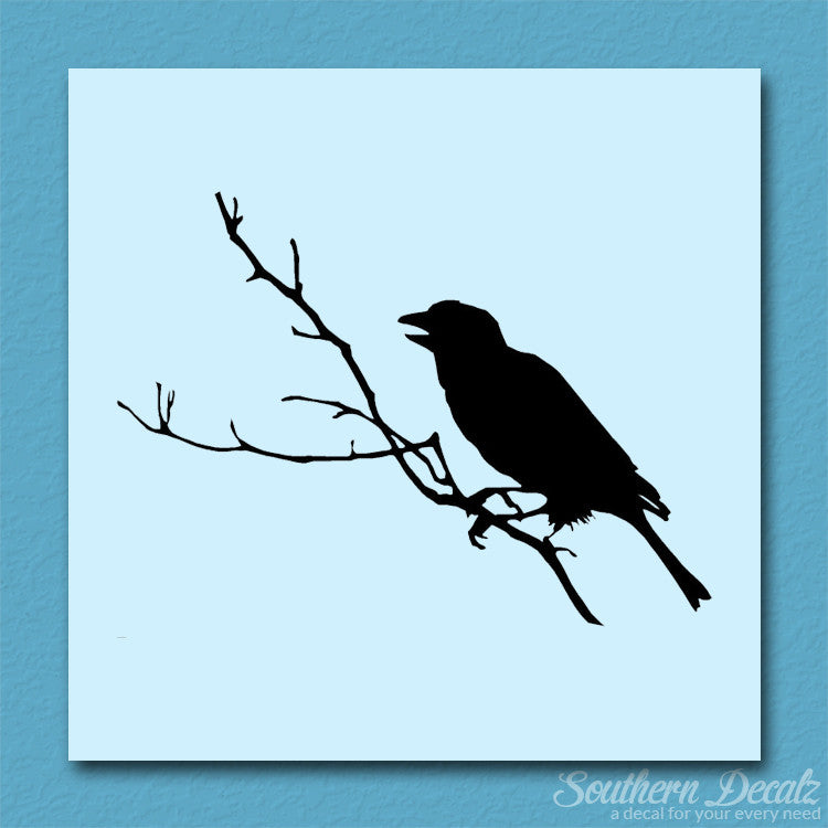 Bird Perch Branch