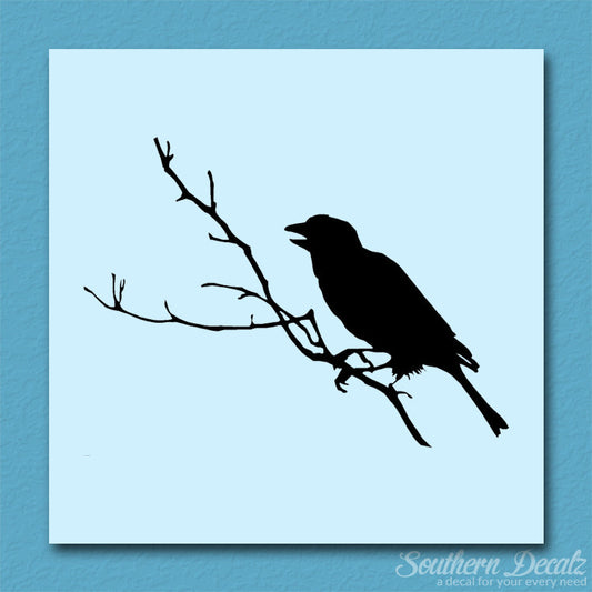 Bird Perch Branch
